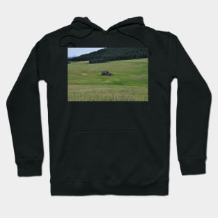 Old Mountain House Hoodie